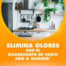 Bicarbonato de Sodio Arm & Hammer 453 gr Hogar dank 