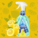 Limpiador Vinagre Blanco Zesty Citrus Astonish 750 ml Hogar Astonish 