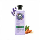 Shampoo Anti-Frizz Lavanda y Aceite de Almendras 400 ml Hogar Casanova 