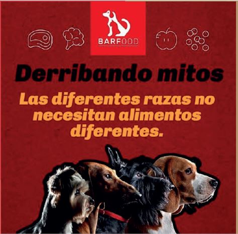 Alimento Perros Barfood Salmon 12 Kg Mascotas mundolimpio.cl 