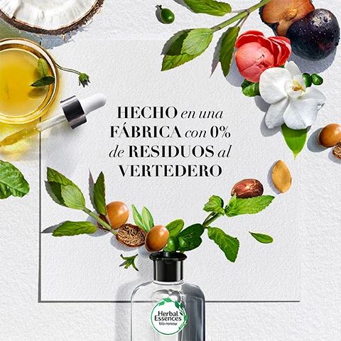 Shampoo Coconut Milk Hidratante Herbal Essences 400 ml Higiene Personal Varios 
